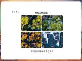 【核心素養(yǎng)優(yōu)質(zhì)課】人美版美術(shù)一下第3單元第3課《時(shí)間的故事》教學(xué)課件+同步教案+視頻