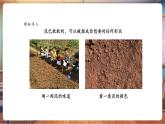 【核心素養(yǎng)優(yōu)質(zhì)課】人美版美術(shù)一下第4單元第1課《一起玩泥巴》教學(xué)課件+同步教案+視頻