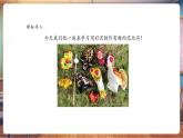 【核心素養(yǎng)優(yōu)質(zhì)課】人美版美術(shù)一下第4單元第2課《俏皮泥玩具》教學(xué)課件+同步教案+視頻
