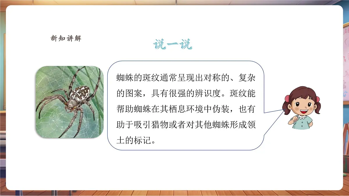 【浙美版】美术 一年级下册 第二单元 第5课《动物的斑纹》第8页