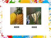 蘇少版美術(shù)一年級下冊《有趣的肌理》 （課件）