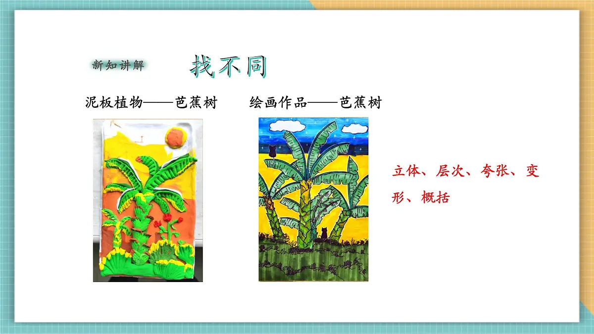 第3课《泥板植物》课件第8页