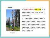 【新課標(biāo)核心素養(yǎng)】嶺南版美術(shù)四年級上冊第5課《神秘的圖騰柱》課件+教學(xué)設(shè)計