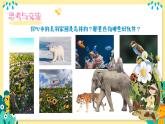 新人美版美術(shù)一下 5-3《家在山水間》課件