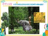 新人美版美術(shù)一下 5-3《家在山水間》課件