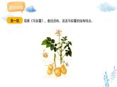 新人教版美術(shù)一下 第一單元《第4課 自然的饋贈(zèng)》課件