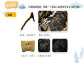 新人教版美術(shù)一下 第二單元《第1課 遠(yuǎn)古的信息》課件