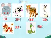 人教版2024《美術(shù)》一年級(jí)上冊(cè)2.生肖大家庭 課件