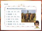 【核心素養(yǎng)優(yōu)質(zhì)課】嶺南版美術(shù)四年級(jí)下冊(cè)第14課《成群的動(dòng)物》課件+同步教案+視頻