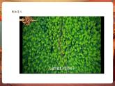 【核心素養(yǎng)優(yōu)質(zhì)課】嶺南版美術(shù)四年級下冊第16課《編織樂園》課件+同步教案+視頻