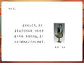 【核心素養(yǎng)優(yōu)質(zhì)課】嶺南版美術(shù)四年級下冊第19課《造型別致的日用品》課件+同步教案+視頻