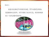 【核心素養(yǎng)優(yōu)質(zhì)課】嶺南版美術(shù)五年級下冊第18課《活動彩車模型》課件+同步教案+視頻