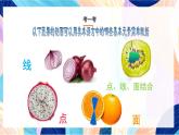人教版美術(shù)四上 第3課《蔬果的剖面》課件
