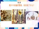 人美版五年級上冊 第6課《美術(shù)中的比例》課件