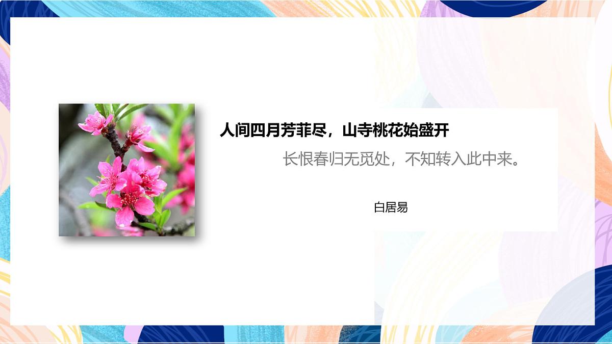 人美版美术六上 第11课《 镜头里的花》课件第2页