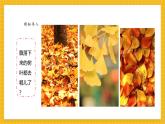 【新教材新課標(biāo)】人教版美術(shù)一年級(jí)上冊(cè)第二單元第1課《落葉去那兒了》課件+核心素養(yǎng)教案+視頻9