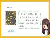 【新教材新課標(biāo)】人教版美術(shù)一年級(jí)上冊(cè)第二單元第1課《落葉去那兒了》課件+核心素養(yǎng)教案+視頻9
