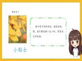 【新教材新課標(biāo)】人教版美術(shù)一年級(jí)上冊(cè)第二單元第1課《落葉去那兒了》課件+核心素養(yǎng)教案+視頻9
