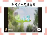 嶺南版小學(xué)美術(shù)1上 第7課 學(xué)校小導(dǎo)游 課件+教案