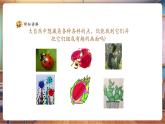 【新教材核心素養(yǎng)】人美版美術(shù)一年級上冊第2單元第1課《調(diào)皮多變的點》教學課件+教學設(shè)計+素材