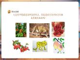 【新教材核心素養(yǎng)】人美版美術(shù)一年級上冊第2單元第1課《調(diào)皮多變的點》教學課件+教學設(shè)計+素材