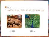【新教材核心素養(yǎng)】人美版美術(shù)一年級上冊第2單元第4課《你拓我印的游戲》教學(xué)課件+教學(xué)設(shè)計+素材