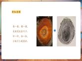 【新教材新課標(biāo)】湘美版美術(shù)一年級上冊第2單元第5課 尋找肌理（課件+教學(xué)設(shè)計+視頻素材）