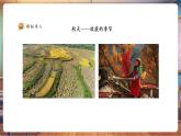 【核心素養(yǎng)優(yōu)質(zhì)課】人美版美術(shù)一下第5單元第2課《自然的禮物》課件+同步教案+素材