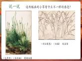 【新教材核心素養(yǎng)】嶺南版美術一年級下冊第16課《草本說》教學課件+同步教案