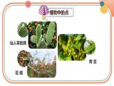 人美版一年級(jí)上冊(cè)（2024秋版）美術(shù)2.1《調(diào)皮多變的點(diǎn)》課件+教案