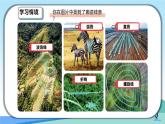 人美版一年級(jí)上冊(cè)（2024秋版）美術(shù)2.2《歡快流暢的線》課件+教案