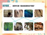 人美版一年級(jí)上冊(cè)（2024秋版）美術(shù)2.4《你拓我印的游戲》課件+教案