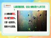 新湘美版小學(xué)美術(shù)二年級上冊第四單元2小蝌蚪課件+素材