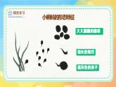 新湘美版小學(xué)美術(shù)二年級上冊第四單元2小蝌蚪課件+素材