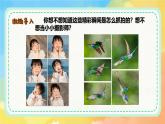 新湘美版小學(xué)美術(shù)二年級上冊第四單元5趣味連拍課件+素材