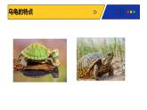 人教版(2024)一年級(jí)上冊美術(shù)第9課 新龜兔賽跑 課件+教學(xué)設(shè)計(jì)