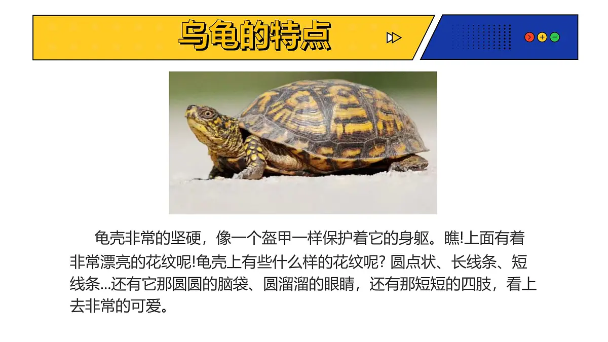 人教版(2024)一年级上册美术第九课《新龟兔赛跑》 课件第5页