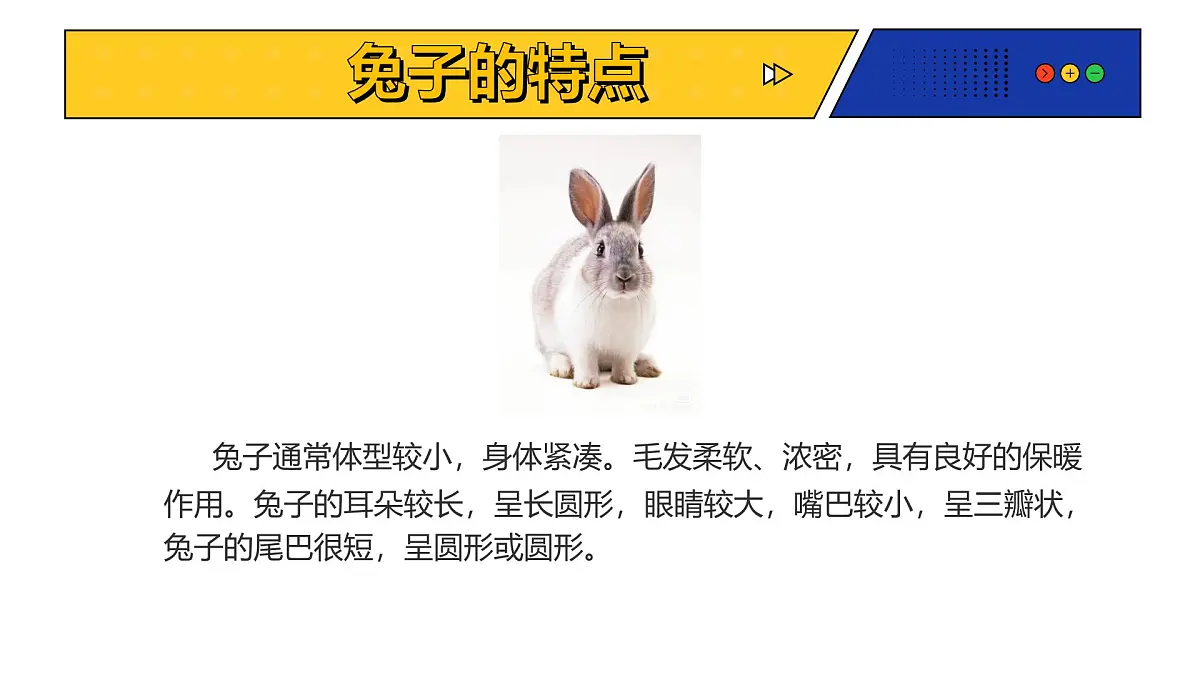 人教版(2024)一年级上册美术第九课《新龟兔赛跑》 课件第7页
