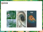 人教版(2024)一年級(jí)上冊(cè)美術(shù)第10課 蝸牛的堅(jiān)持 課件+教學(xué)設(shè)計(jì)