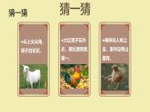 人教版(2024)一年級上冊美術(shù)第2課 生肖大家族 課件+教學(xué)設(shè)計
