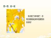 人教版(2024)一年級上冊美術(shù)第6課 落葉去哪了 課件+教學(xué)設(shè)計