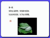 人教版(2024)一年級上冊美術(shù)第7課 勤勞的繭寶寶 課件+教學(xué)設(shè)計