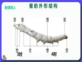 人教版(2024)一年級上冊美術(shù)第7課 勤勞的繭寶寶 課件+教學(xué)設(shè)計