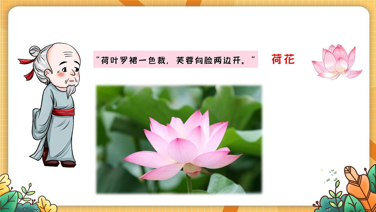 湘美版四年级美术上册 花儿朵朵（课件）第5页