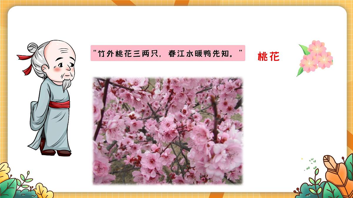 湘美版四年级美术上册 花儿朵朵（课件）第6页