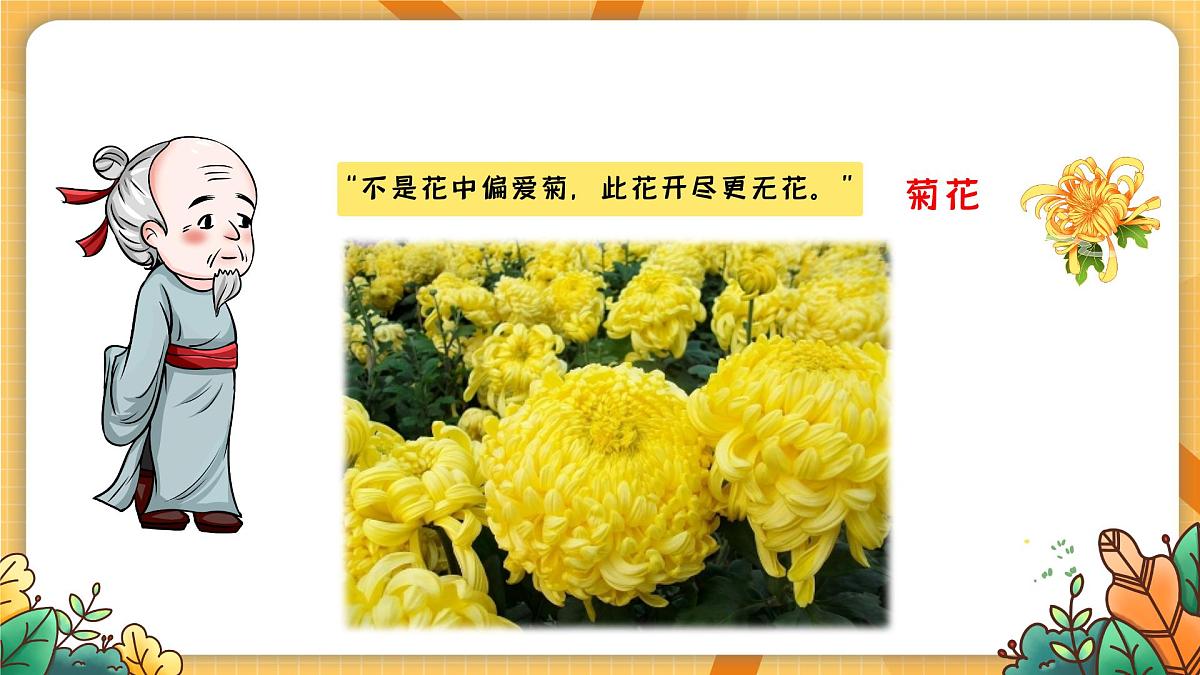 湘美版四年级美术上册 花儿朵朵（课件）第7页
