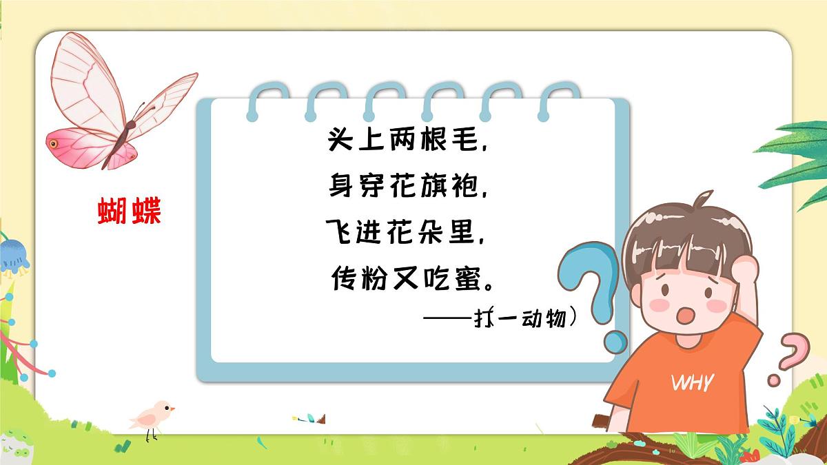 湘美版四年级美术上册 蝴蝶落我家（课件）第2页
