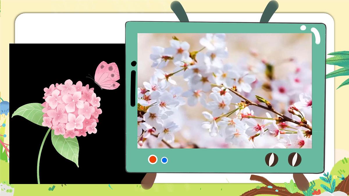 湘美版四年级美术上册 蝴蝶落我家（课件）第3页