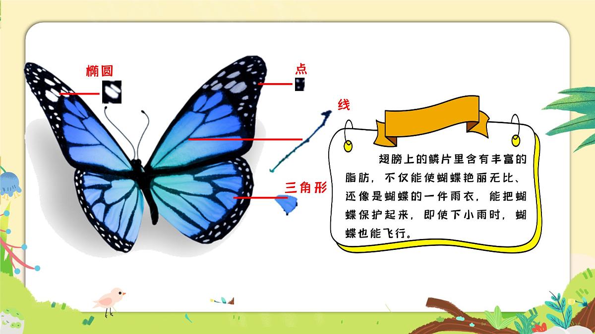 湘美版四年级美术上册 蝴蝶落我家（课件）第8页