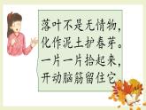 第6課《落葉去哪了》課件